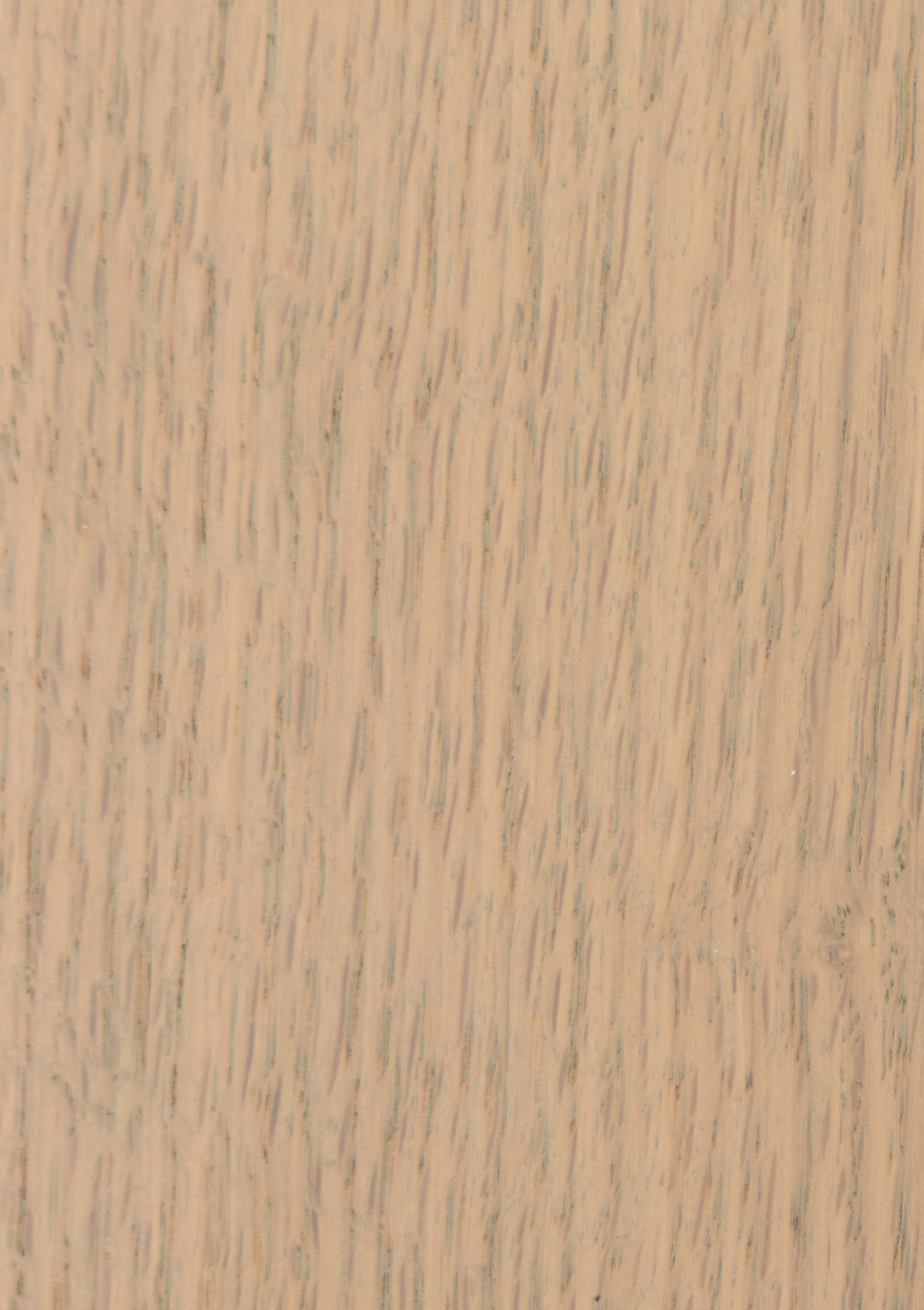 Cabnova finishes